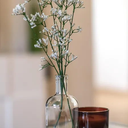Zgodic アパート Tuliševica